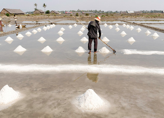 attraction-Kampot Economy Salt Filled.jpg